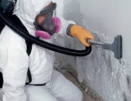 Best Real Estate Mold Inspection  in Fox Chase, PA